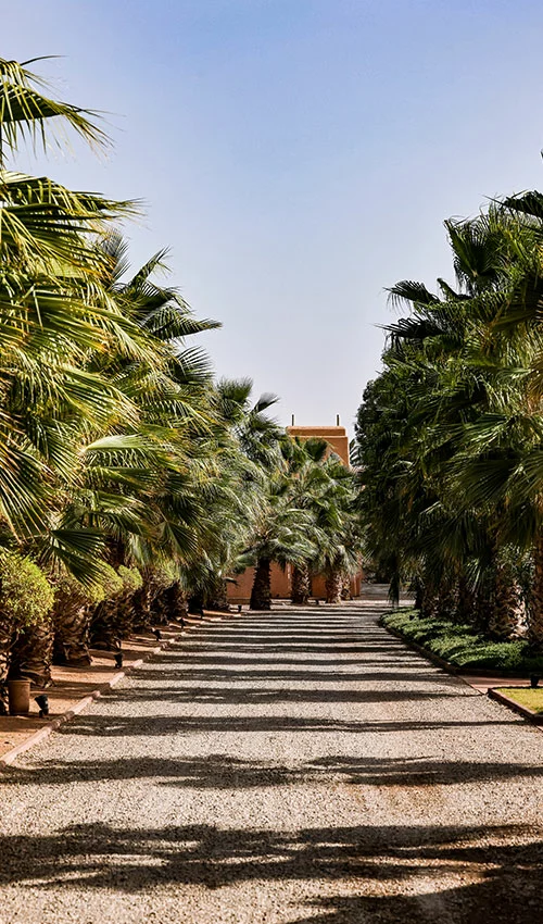 lodge marrakech piscine
