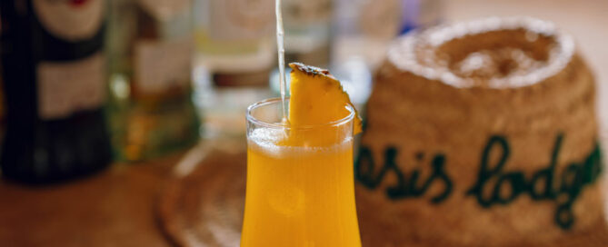 Cocktail Oasis Lodges