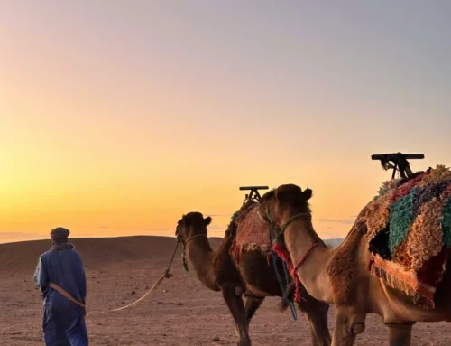 Le désert d’Agafay : une excursion hors du temps