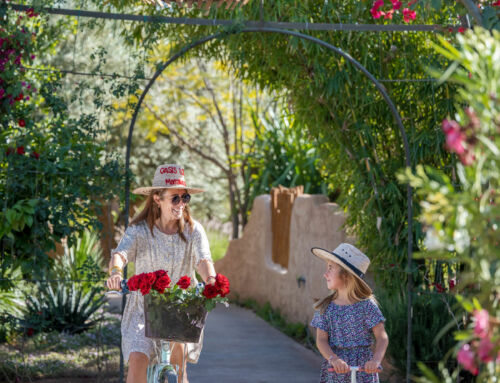 Offrez bien plus qu’un cadeau : une expérience à vivre avec les coffrets cadeaux Oasis Lodges