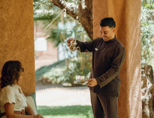 Une journée d’évasion au départ d’Oasis Lodges