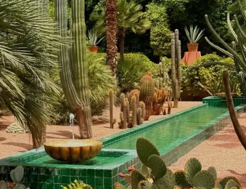 Les jardins marocains : des oasis de fraîcheur